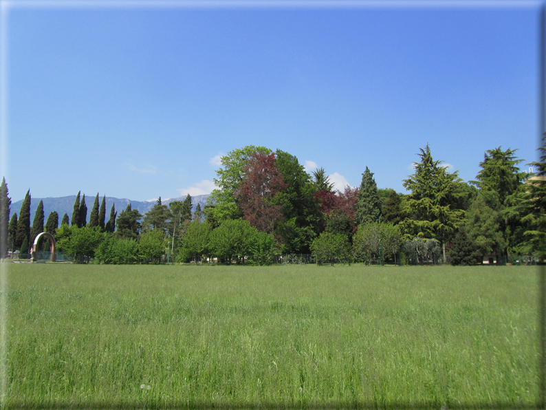 foto Paesaggi Collinari in Primavera